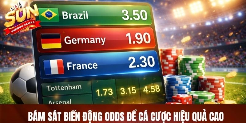 Bám sát biến động odds để cá cược hiệu quả cao